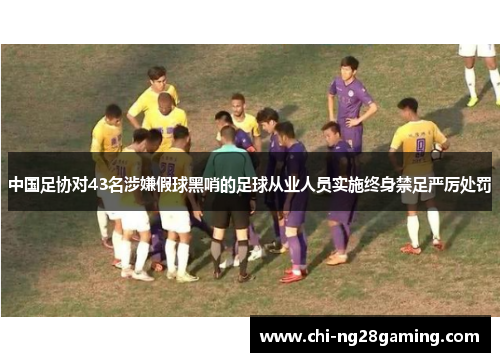 中国足协对43名涉嫌假球黑哨的足球从业人员实施终身禁足严厉处罚