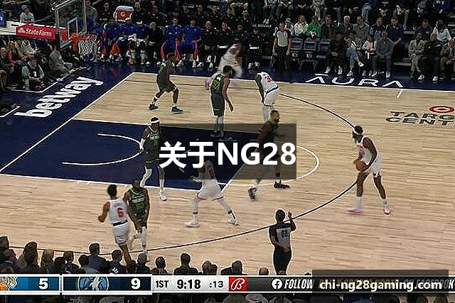 关于NG28